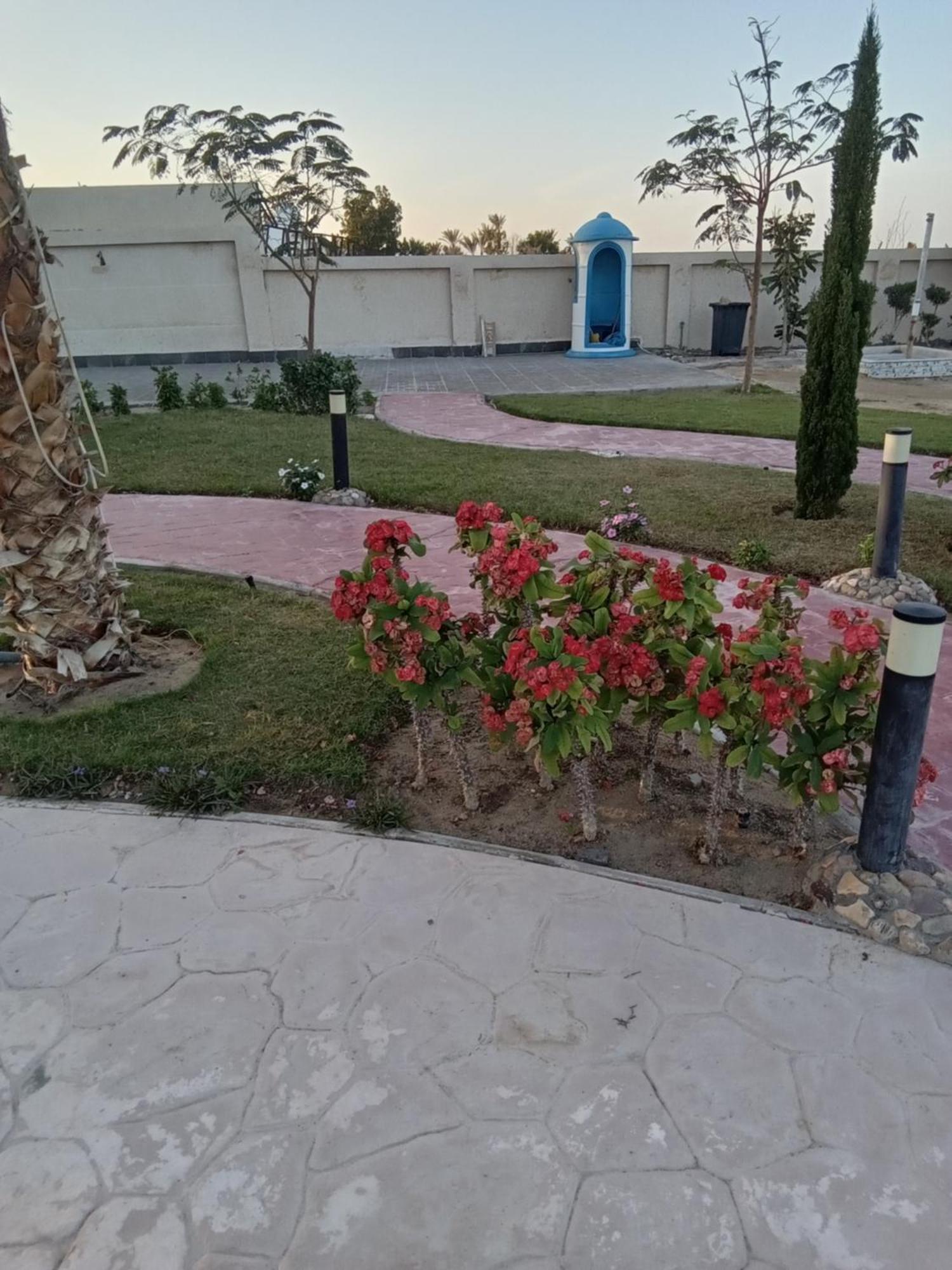 אפרטהוטל הורגהדה Casablanca Beach For Families And Couples Only מראה חיצוני תמונה